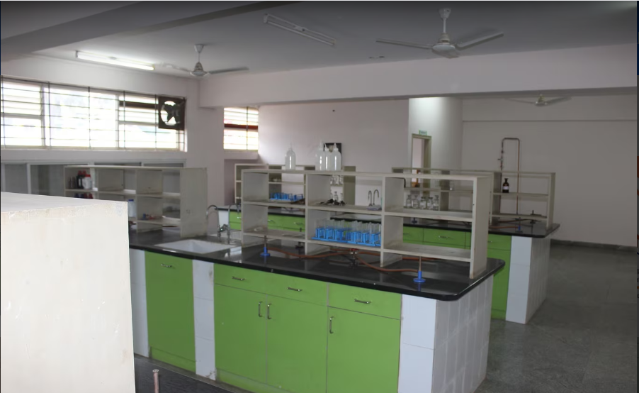 Gallery Image 7
